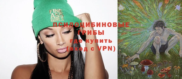 ПСИЛОЦИБИНОВЫЕ ГРИБЫ Балахна