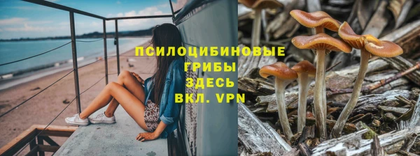ПСИЛОЦИБИНОВЫЕ ГРИБЫ Балахна