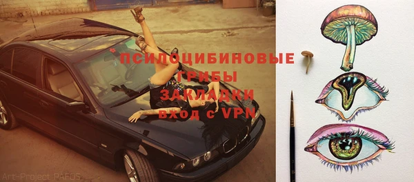 ПСИЛОЦИБИНОВЫЕ ГРИБЫ Балахна