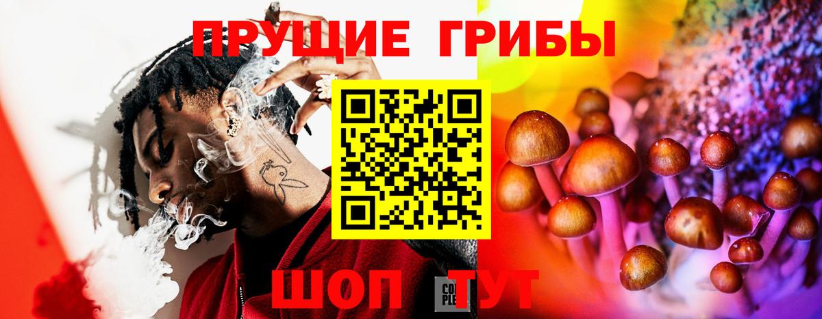 где найти   Галлюциногенные грибы прущие грибы  Вход с VPN  Бор 