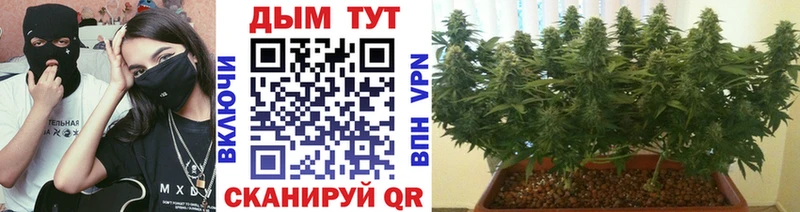 Бошки марихуана OG Kush  Бор 